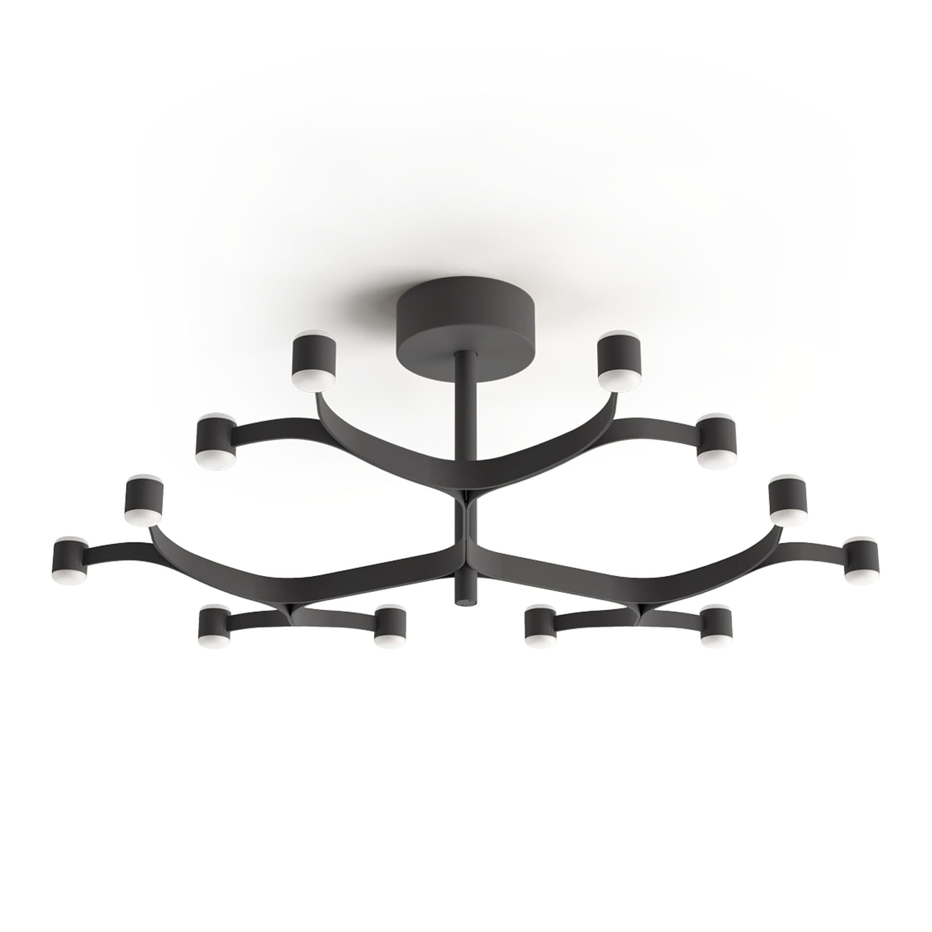 Stilnovo - Fronda 12 Phase-Cut plafond textured black - Plafonder - Pio & Tito Toso - Svart