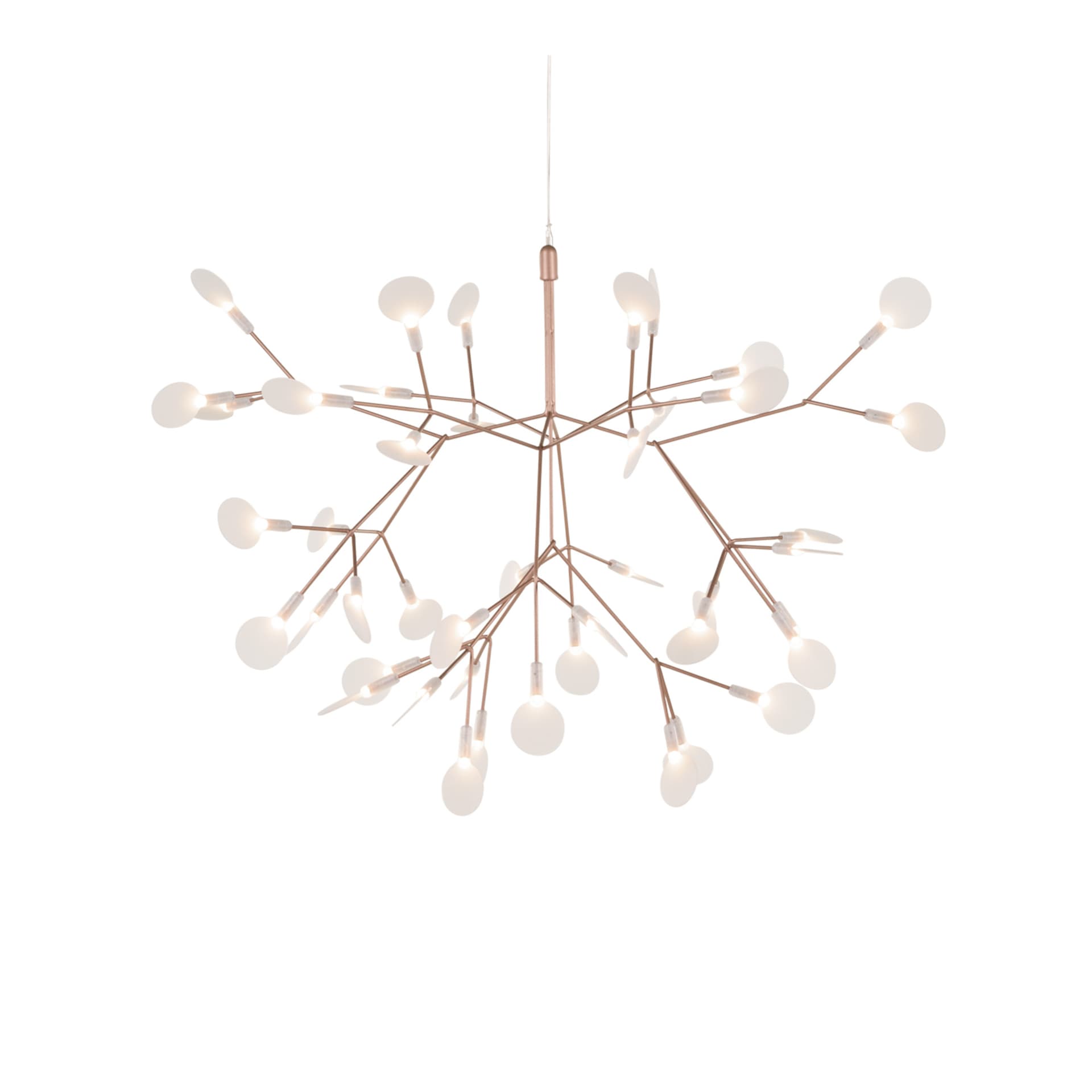 Moooi - Heracleum III, Suspended Small Copper - Lysekroner - Bertjan Pot - Kobber