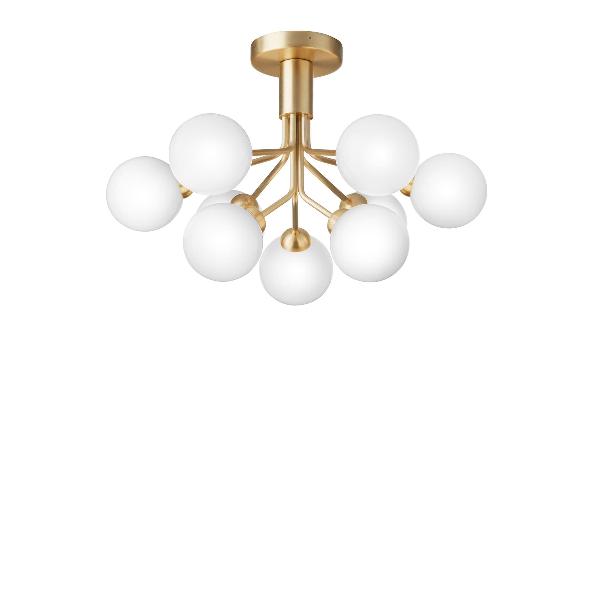 Nuura Aps - Apiales 9 Taklampe Brushed Brass Nuura