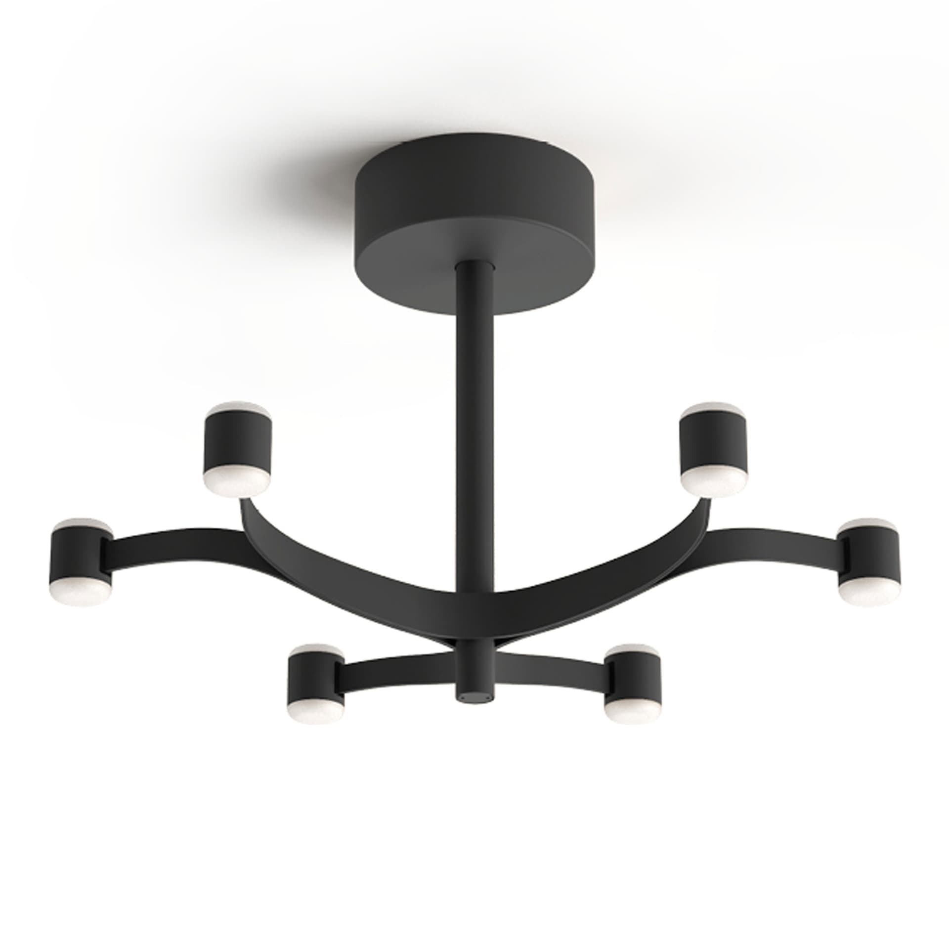 Stilnovo - Fronda 6 Phase-Cut plafond textured black - Plafonder - Pio & Tito Toso - Svart