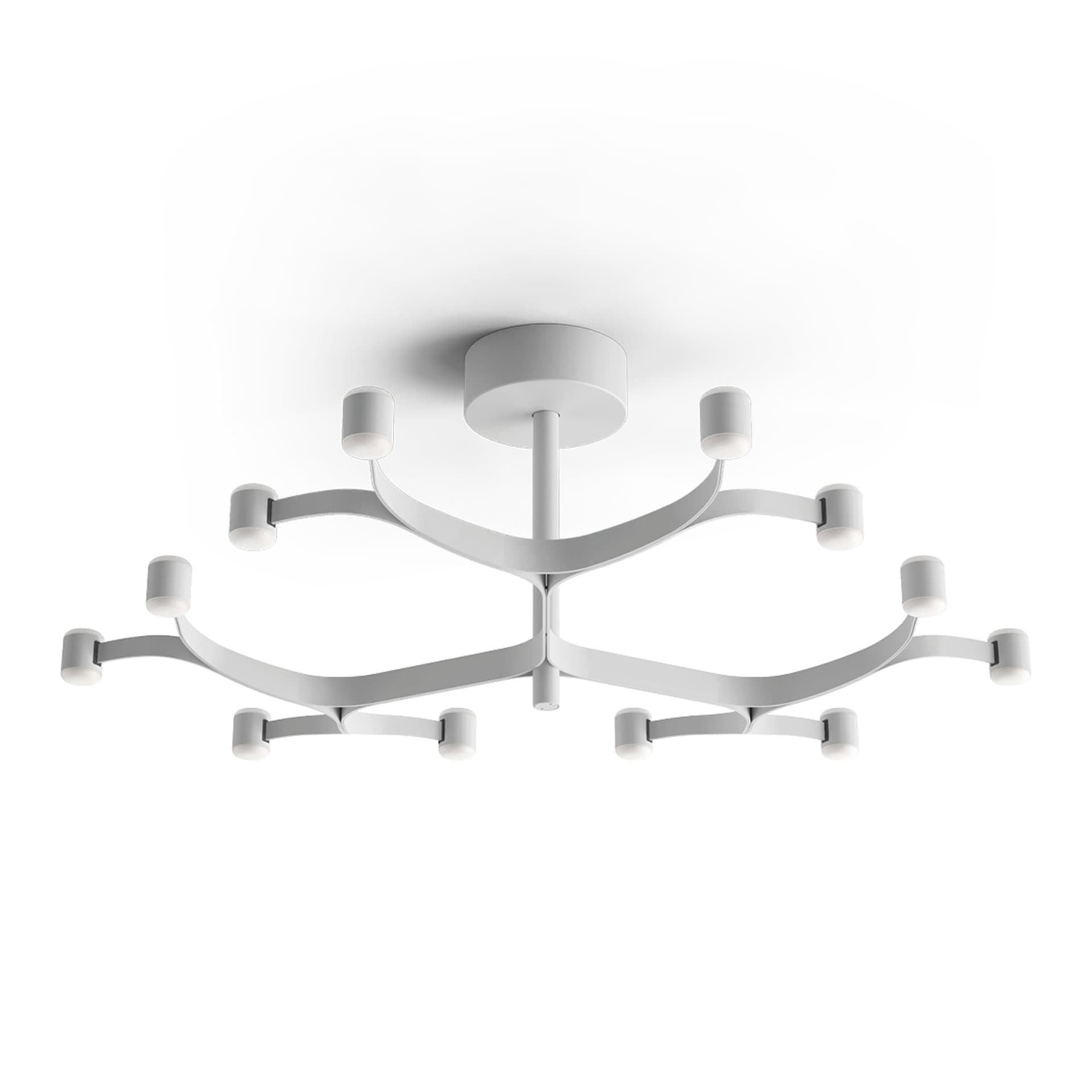 Stilnovo - Fronda 12 Phase-Cut plafond textured white - Plafonder - Pio & Tito Toso - Hvit