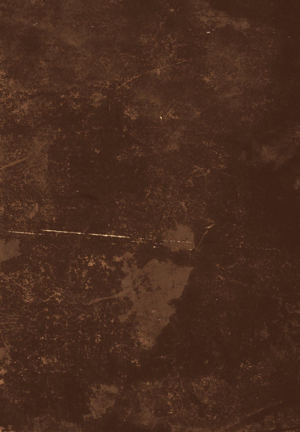 Wilton-teppe - Zahora (brun) (Størrelse: 160 x 230 cm)