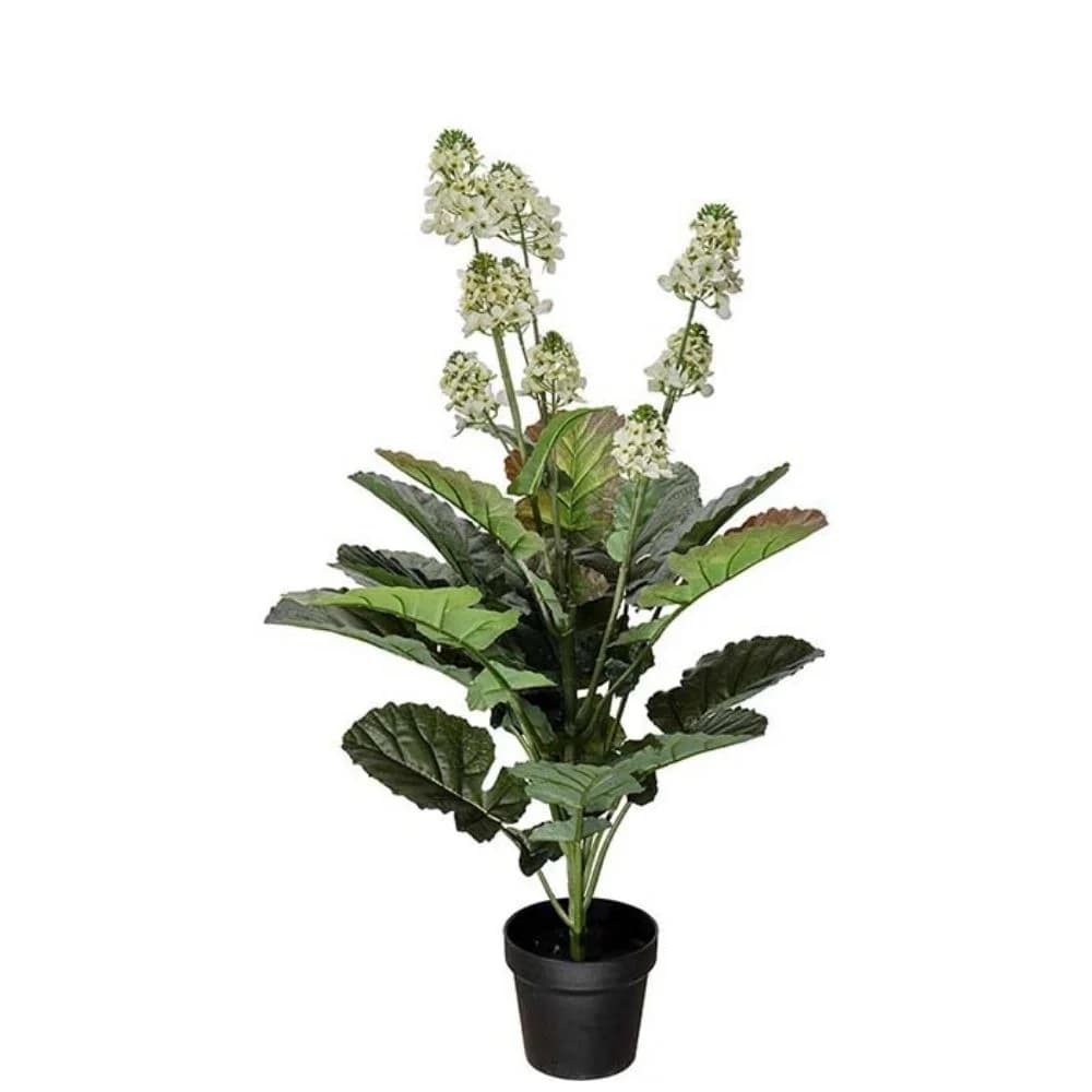 Mr Plant, Cole Blomst Hvid 105 cm