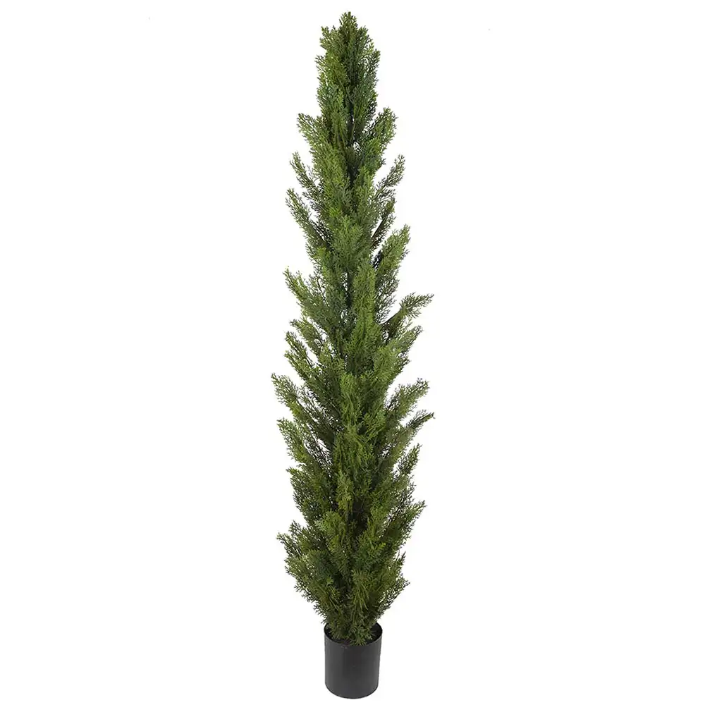Mr Plant, Cypres Træ 180 cm