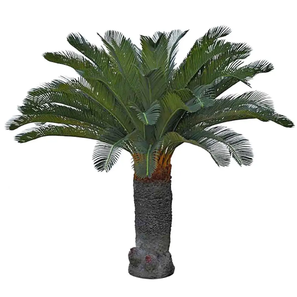 Mr Plant, Cycas Palme 100 cm