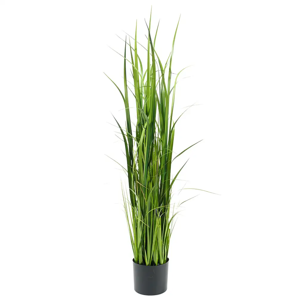 Mr Plant, Græs 135 cm