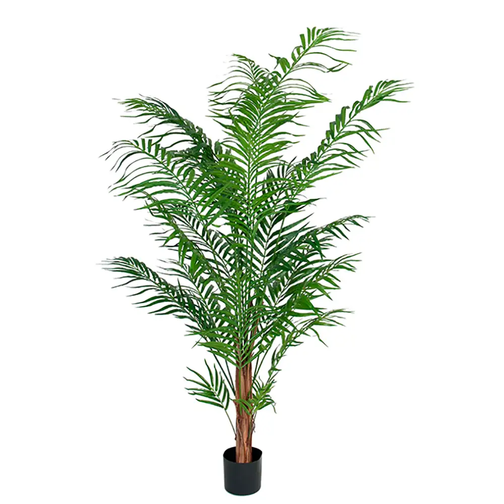 Mr Plant, Arekapalme 150 cm