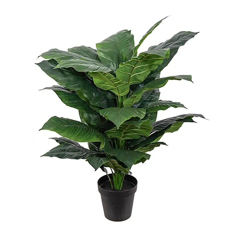 Mr Plant, Spathiphyllum træ 120 cm