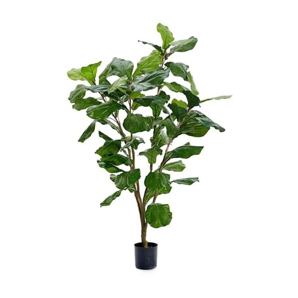 Mr Plant, Fiolfikus Grøn 120 cm