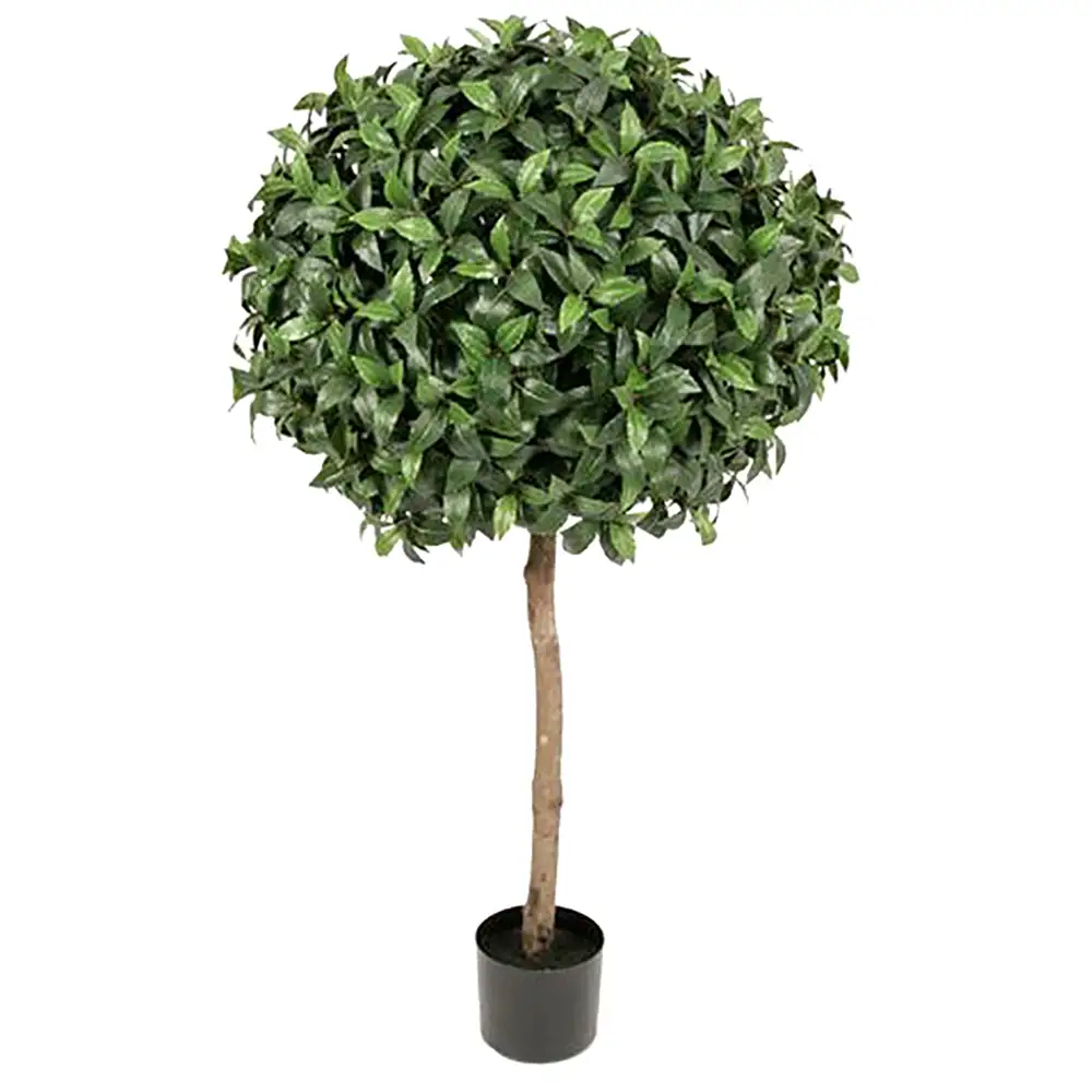 Mr Plant, Lagerbladstræ 135 cm