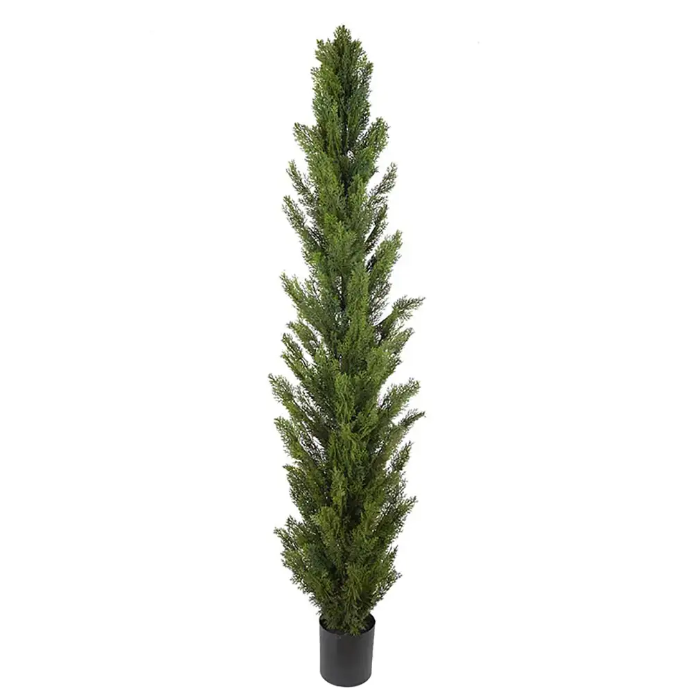 Mr Plant, Cypres Træ 120 cm