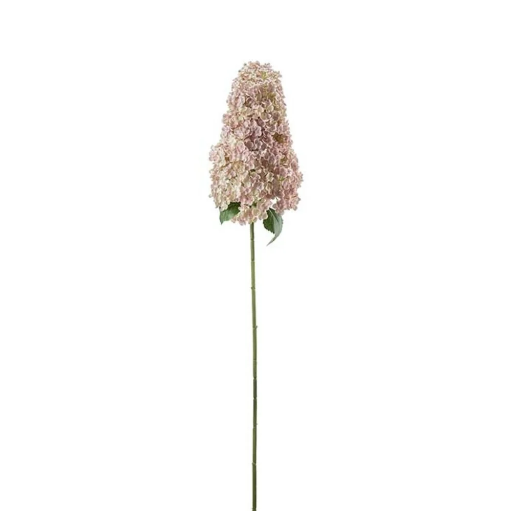 Mr Plant, Syrenhortensia 128cm