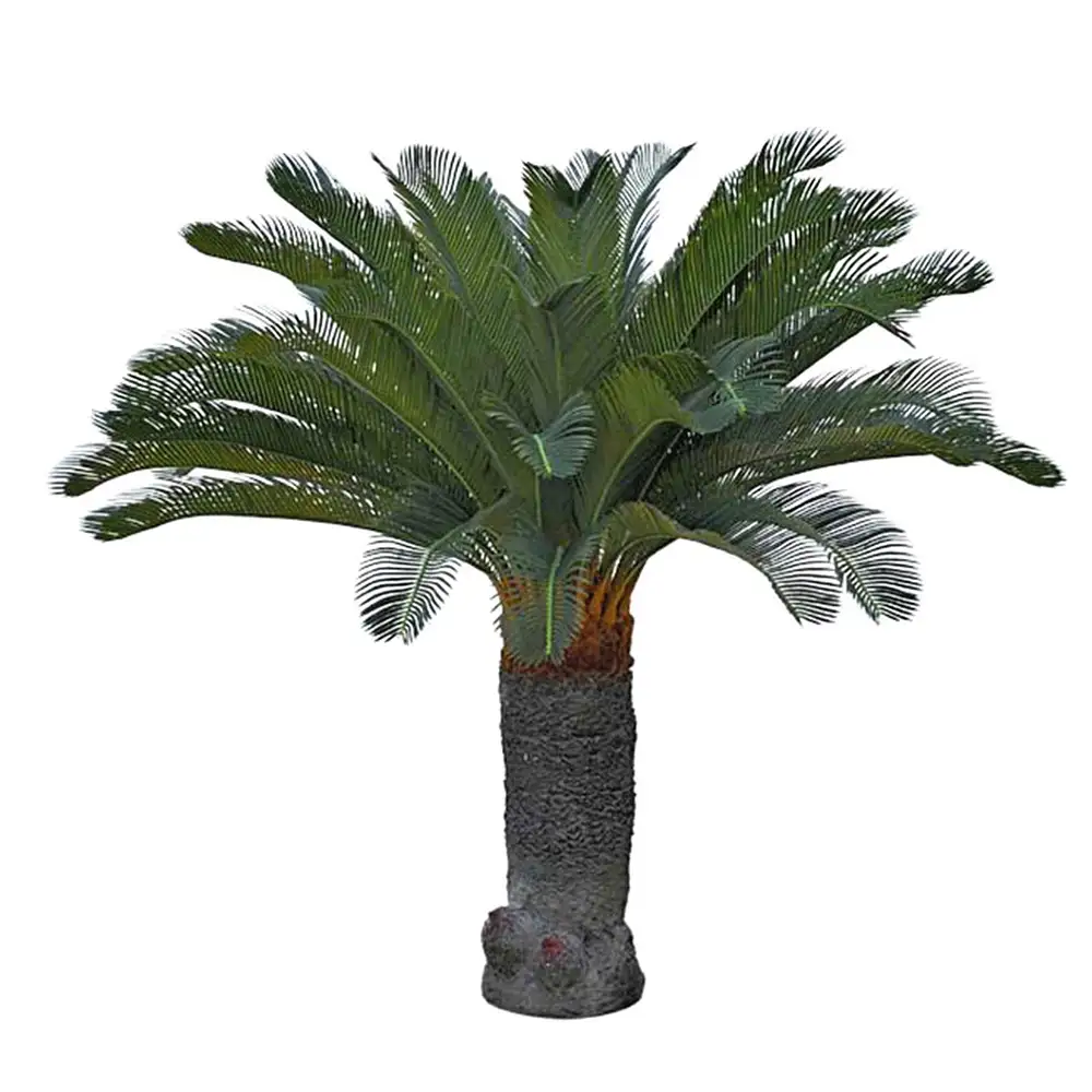 Mr Plant, Cycas Palme 130 cm
