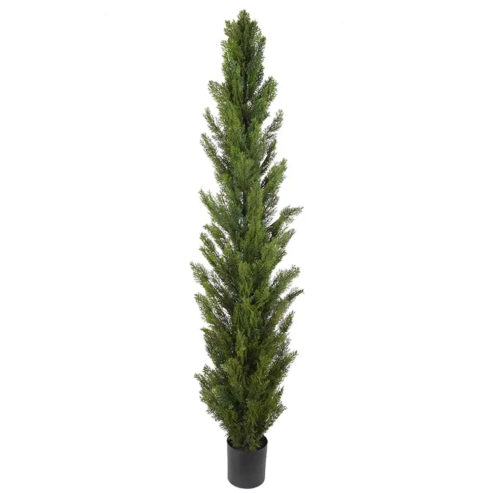 Mr Plant, Cypres Træ 150 cm