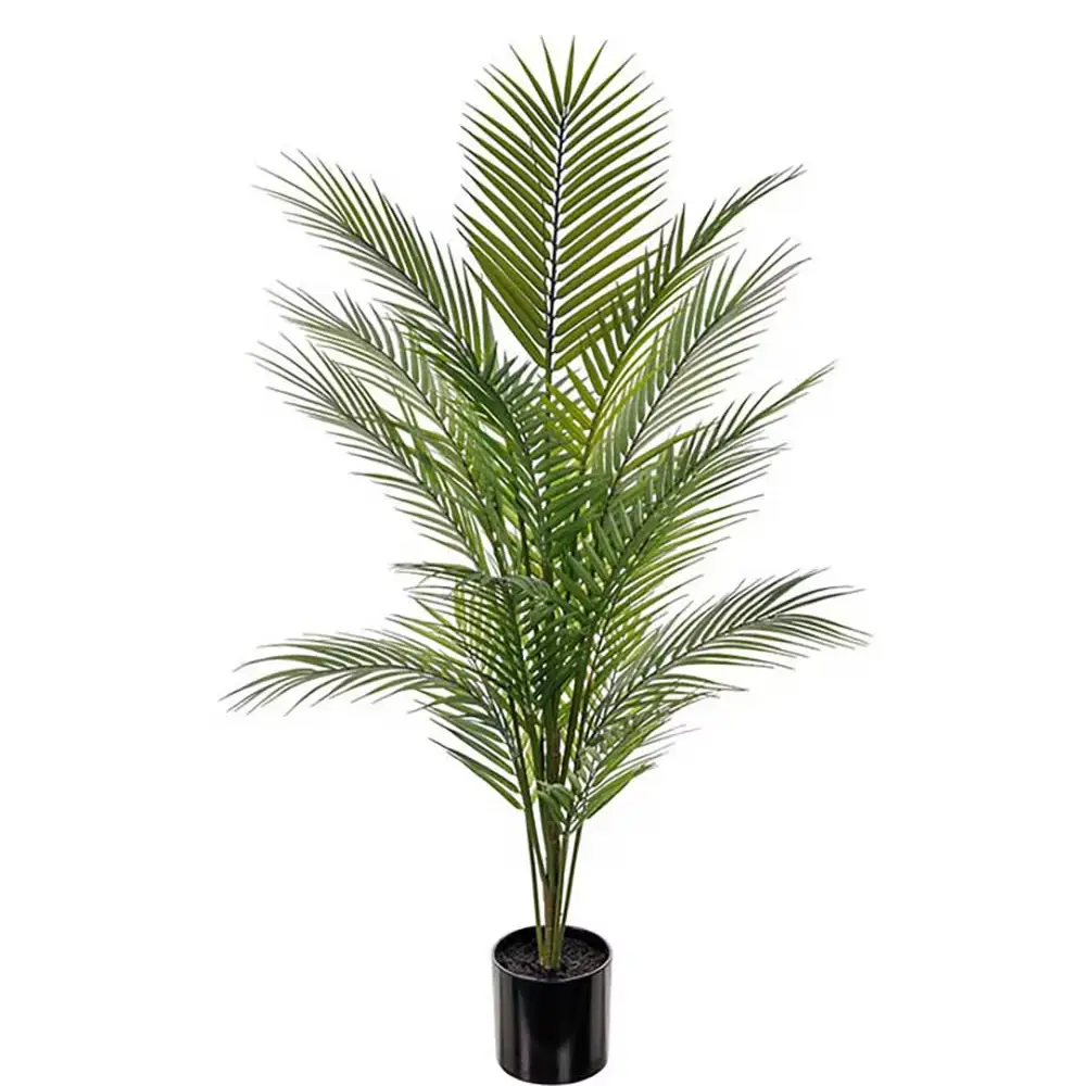 Mr Plant, Bjergpalme Grøn Potteplante 110 cm