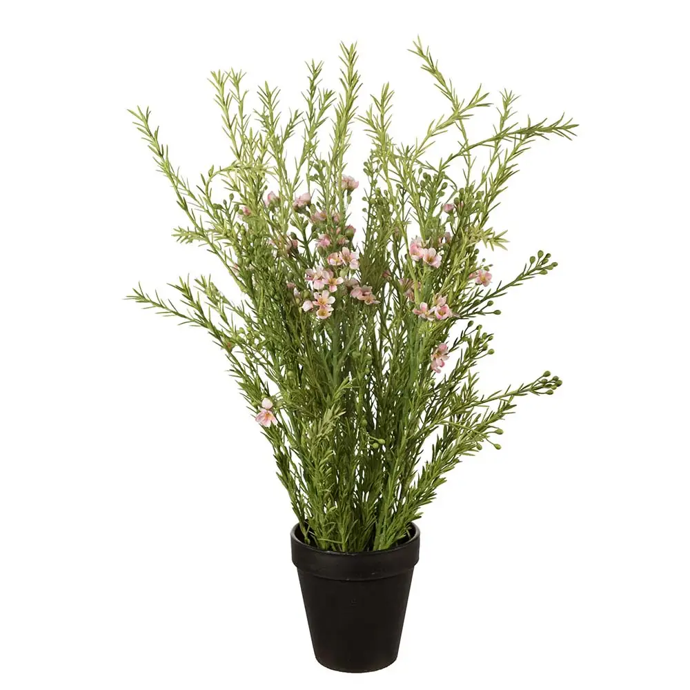 Mr Plant, Voks blomsterpotteplante 55 cm Pink
