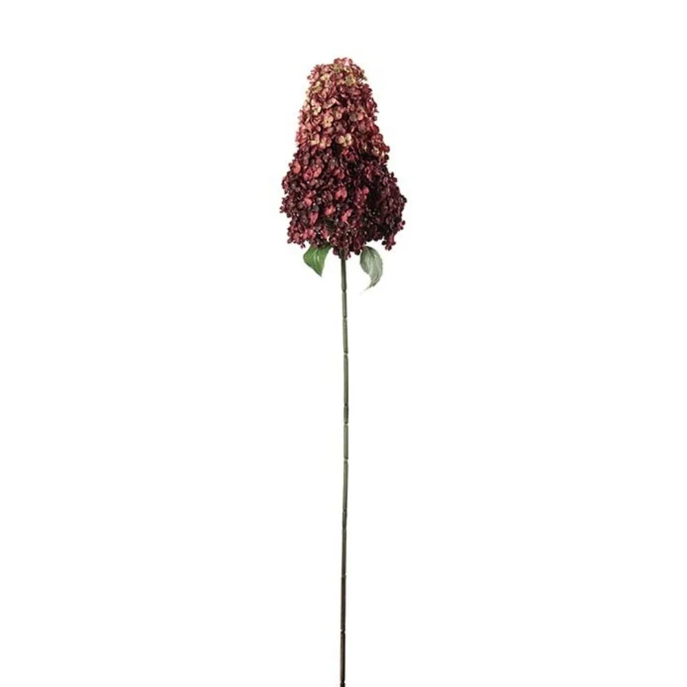 Mr Plant, Syrenhortensia Burgundy 128 cm