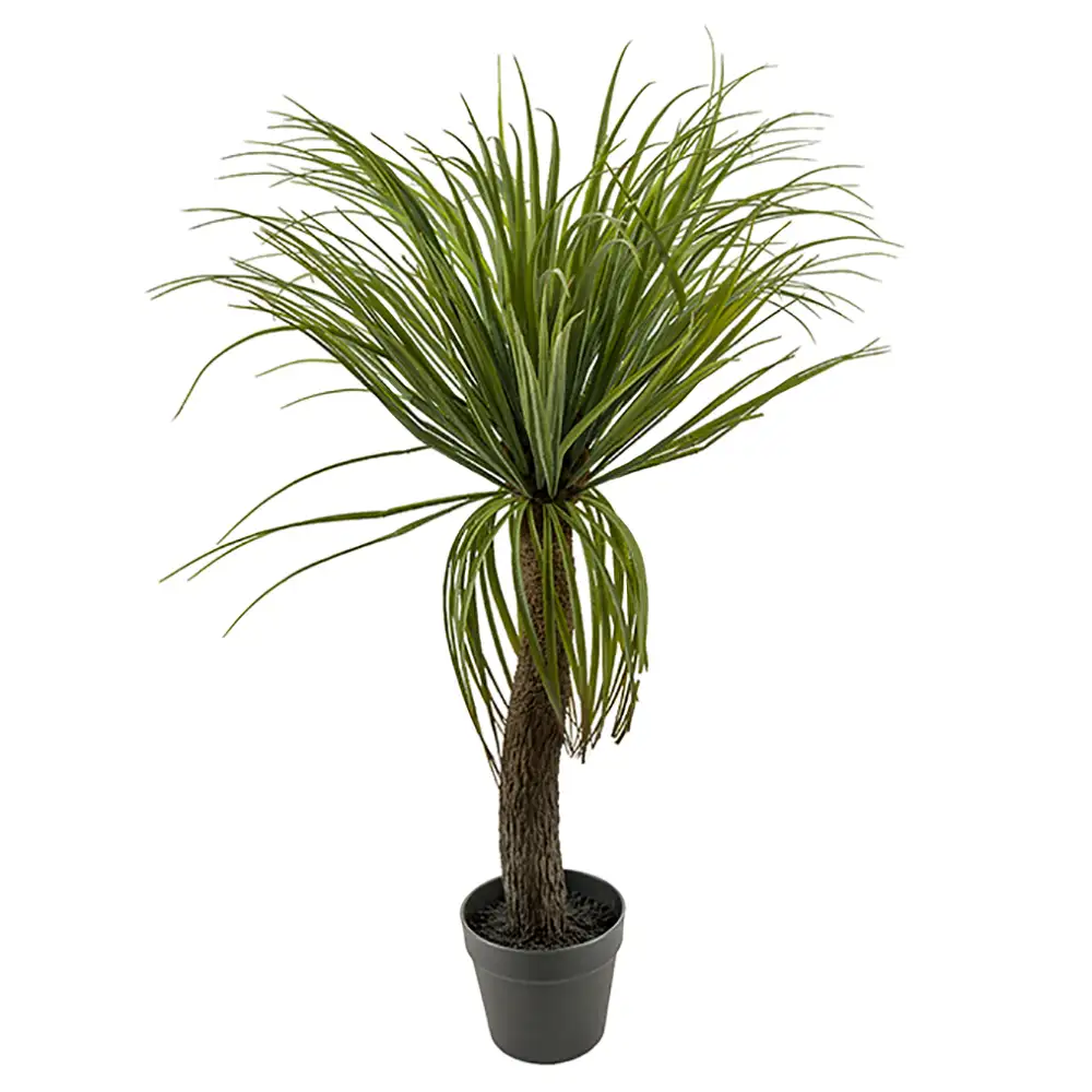 Mr Plant, Flaskelilje 90 cm