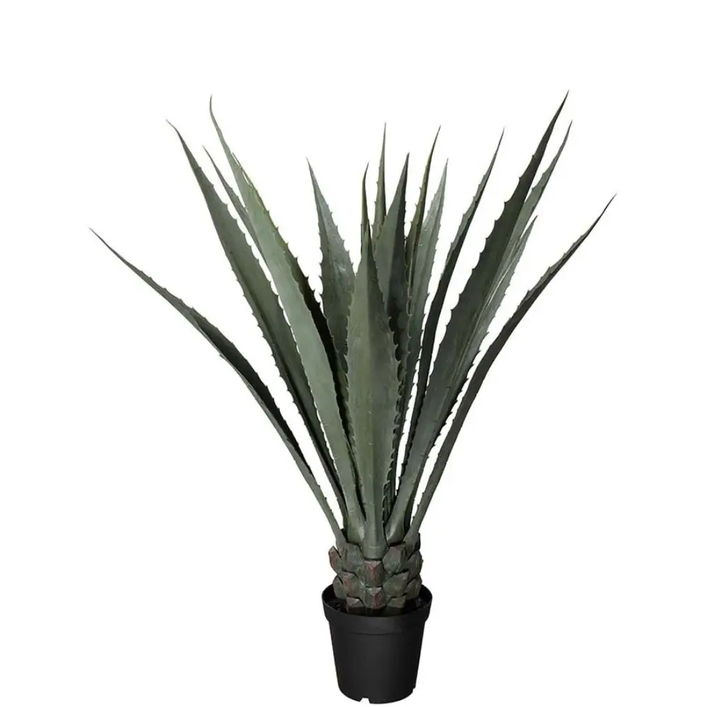 Mr Plant, Agave grøn 120 cm