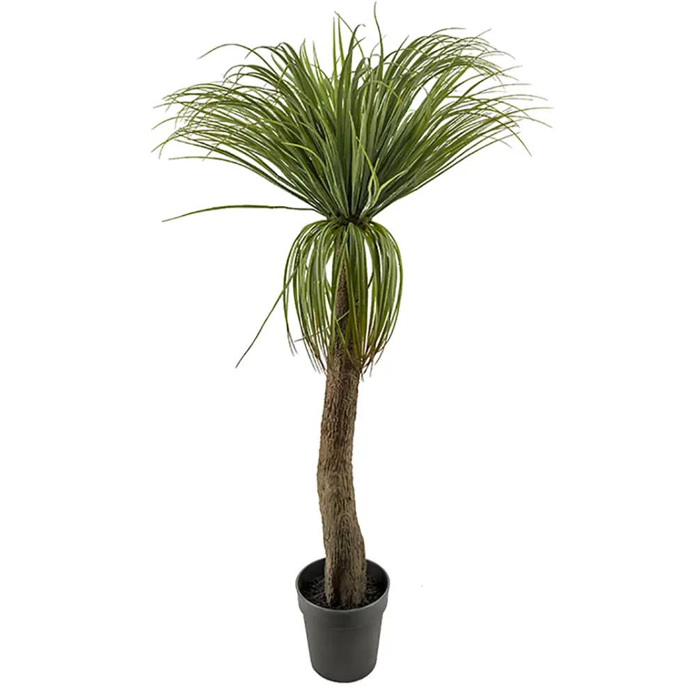 Mr Plant, Flaskelilje 130 cm
