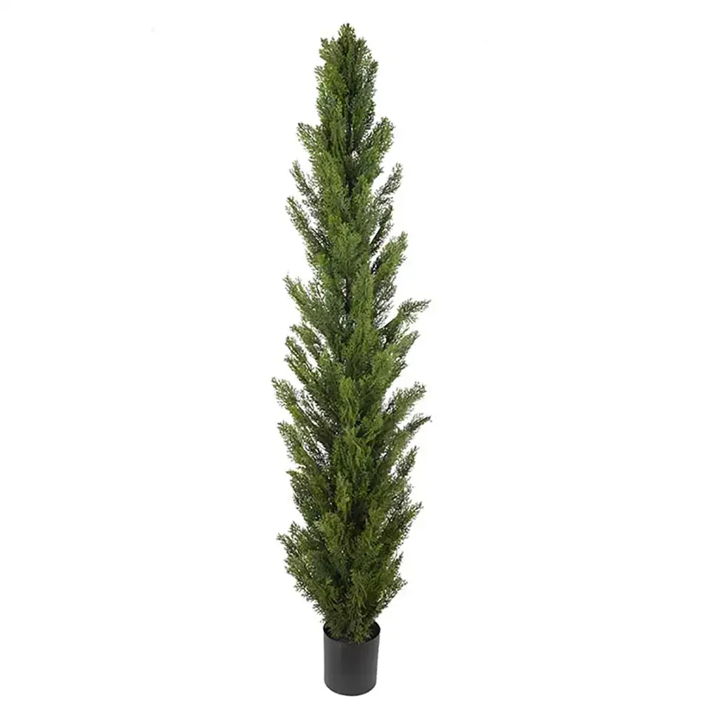 Mr Plant, Cypres Træ 90 cm