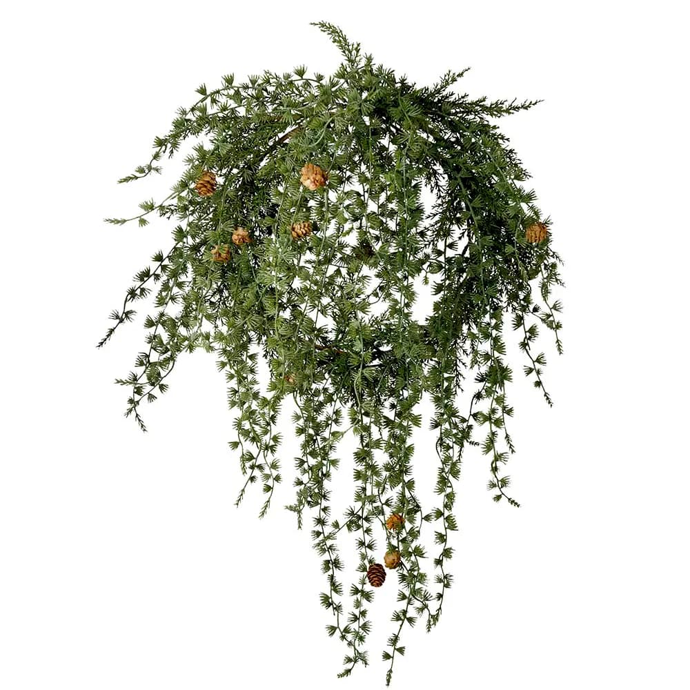 Mr Plant, Julekrans med kogler
