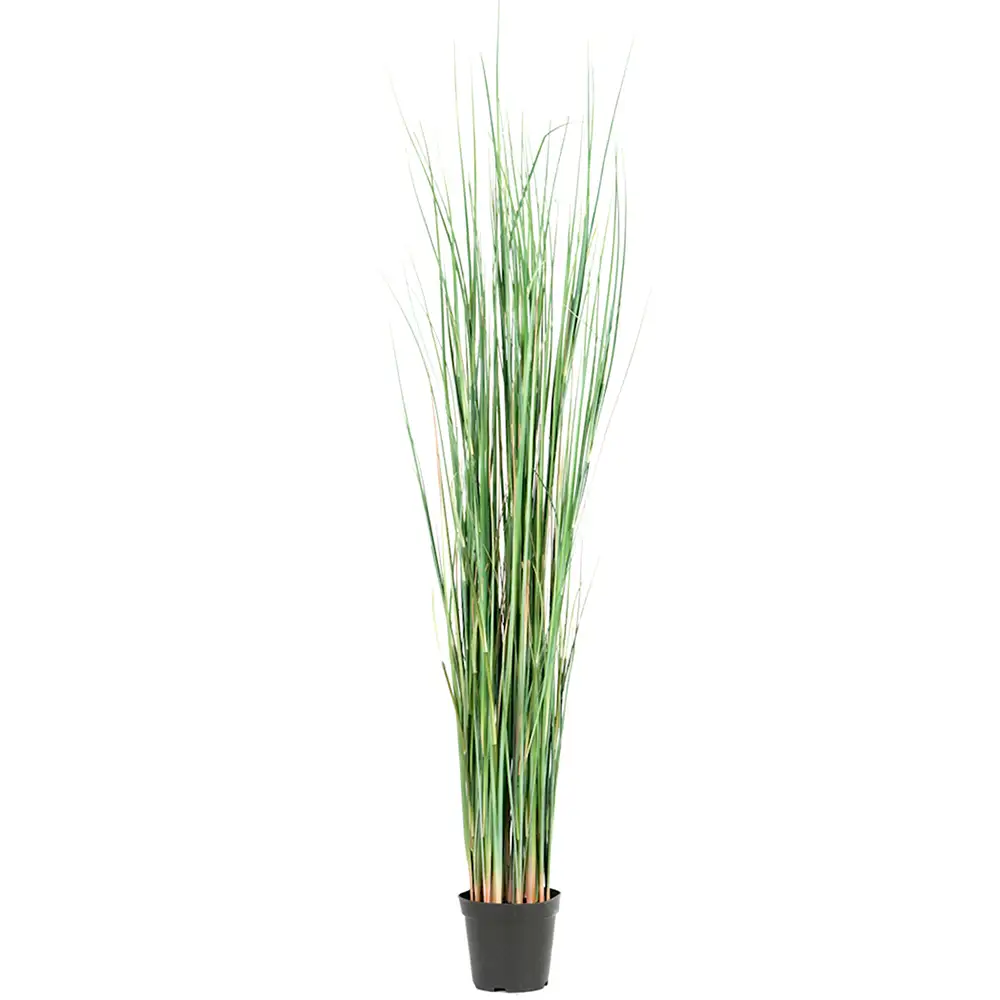 Mr Plant, Græs 130 cm