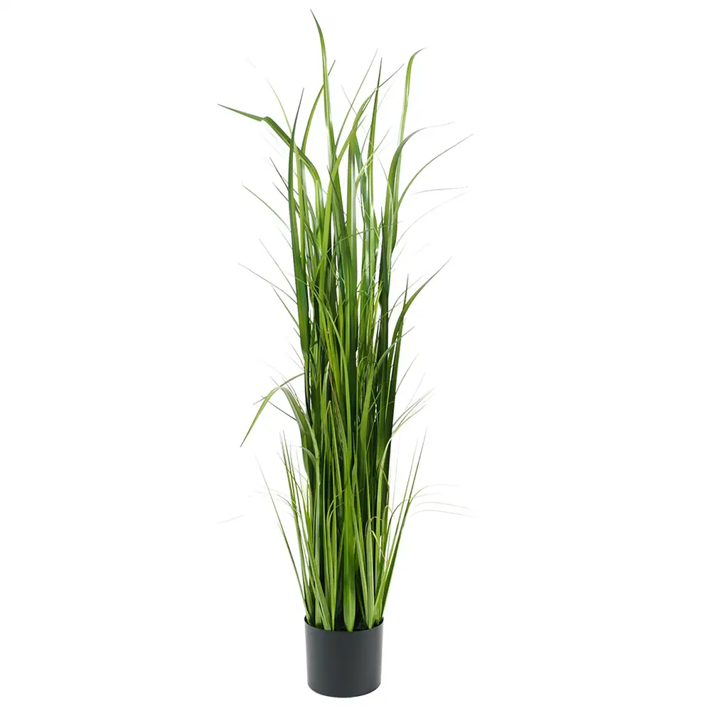Mr Plant, Græs 150 cm