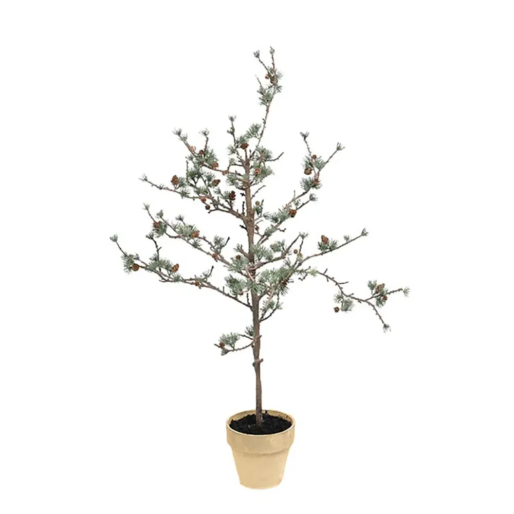 Mr Plant, Lærketræ 100 cm