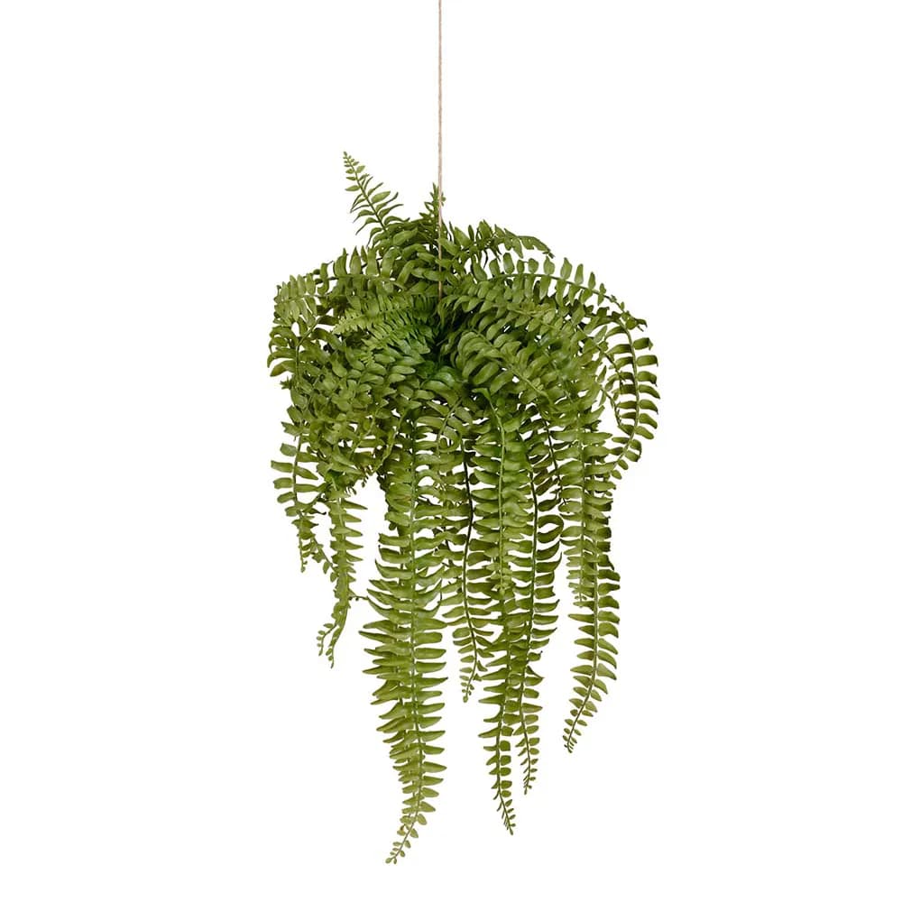 Mr Plant, Bregne Hængende plante 53 cm