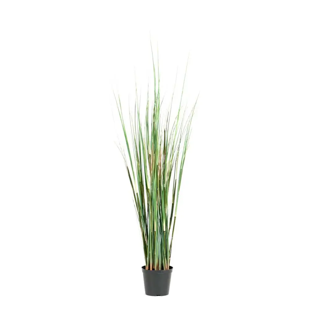 Mr Plant, Græs 95 cm