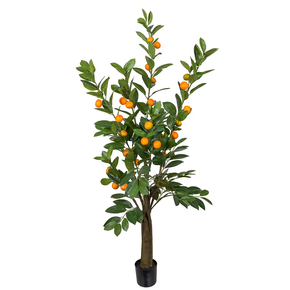 Mr Plant, Citrustræ 150 cm