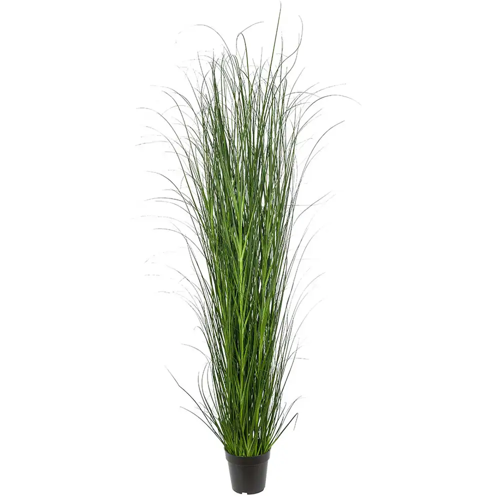 Mr Plant, Græs 170 cm