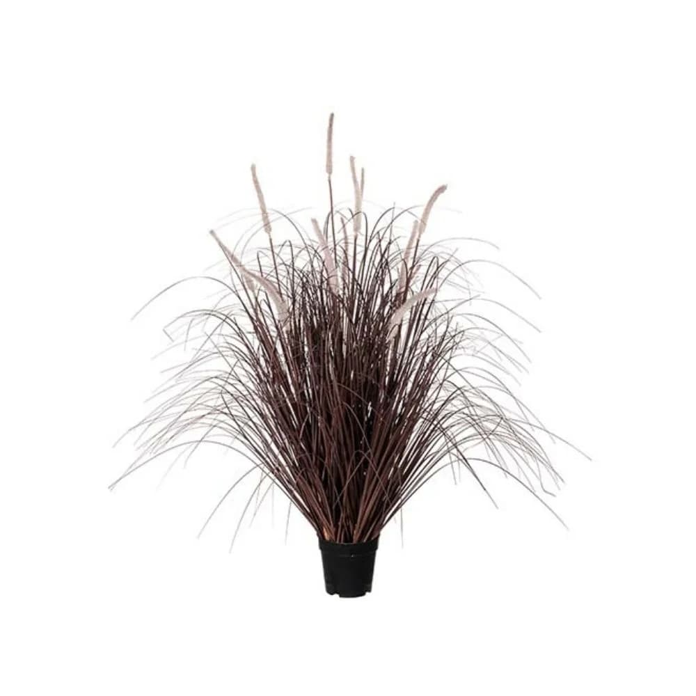 Mr Plant, Grass Burgundy 90 cm
