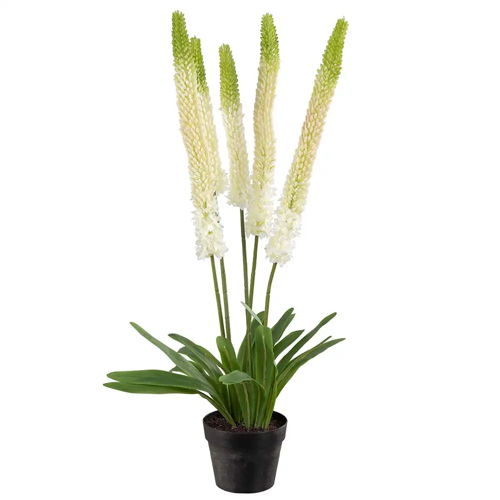 Mr Plant, Stepplilje Potteplante 95 cm Hvit