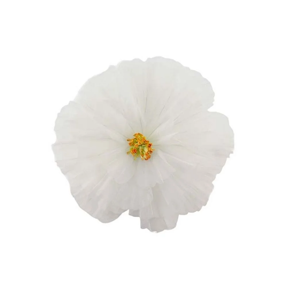 Mr Plant, Blomst Daisy vegg White