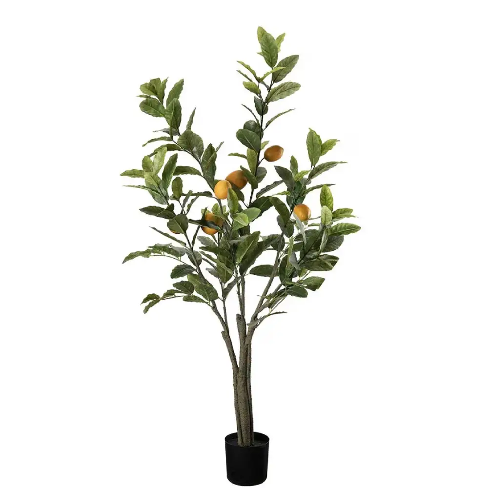 Mr Plant, Sitrontre Grønn 120 cm