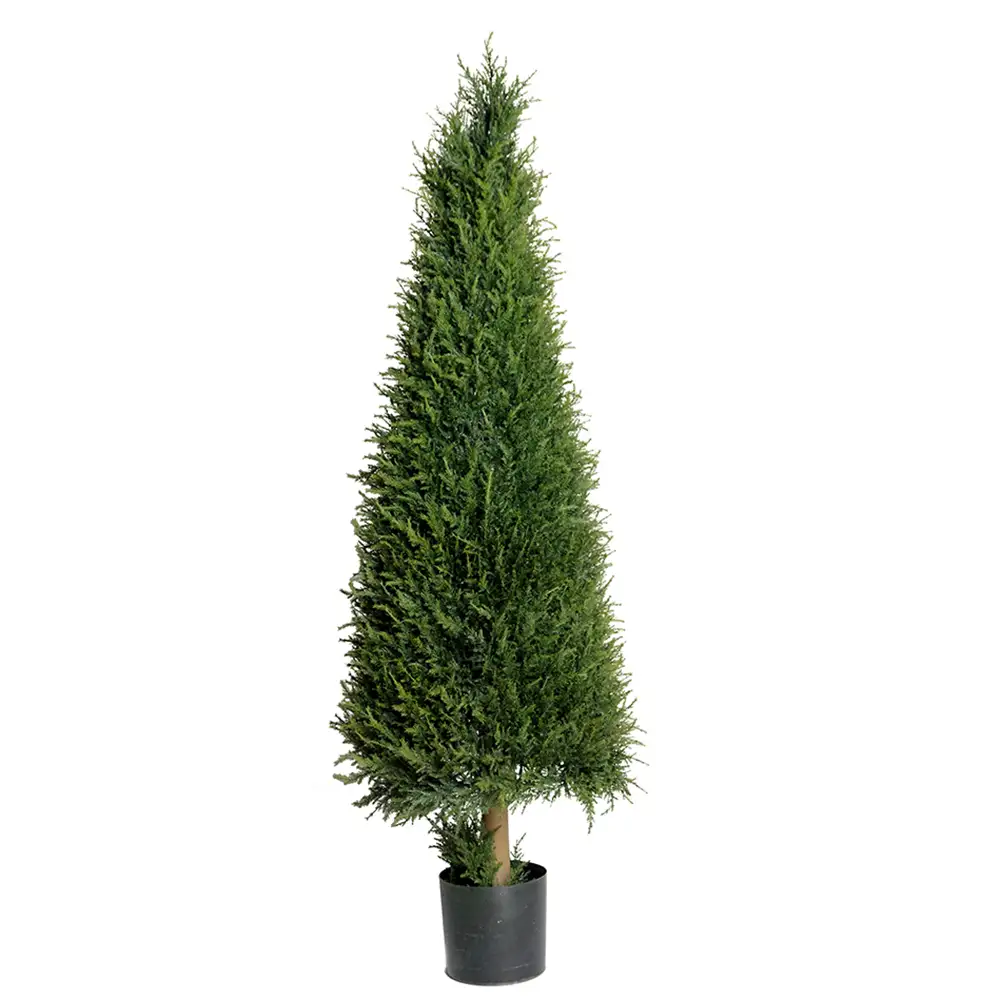 Mr Plant, Gran Tre 110 cm