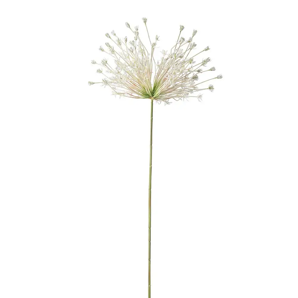 Mr Plant, Allium Hvit 125 cm