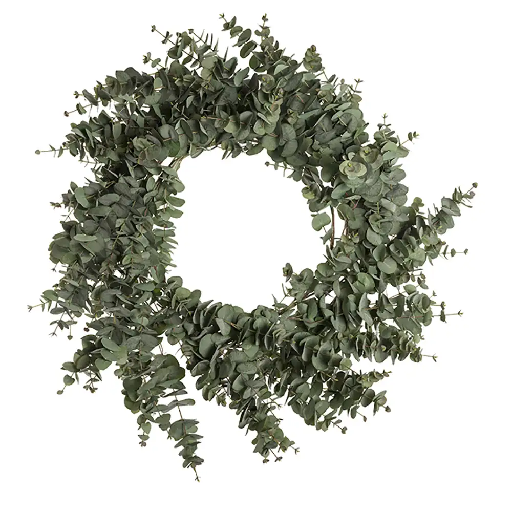 Mr Plant, Eukalyptuskrans 100 cm