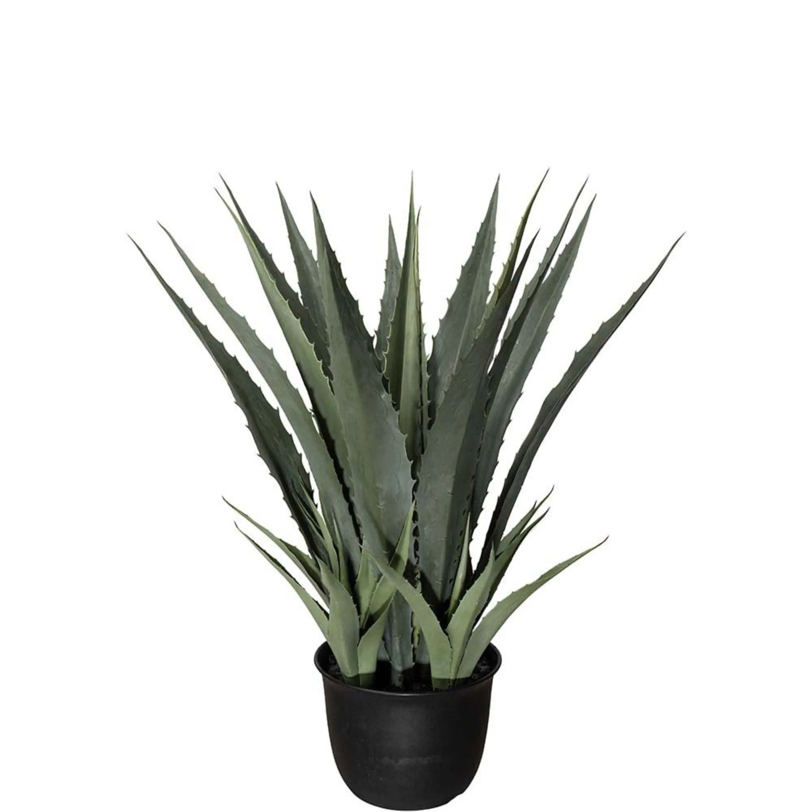 Mr Plant, Agave grønn 100 cm