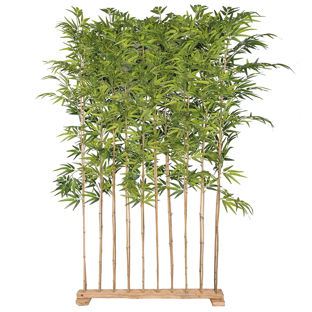 Mr Plant, Bambuss 190 cm
