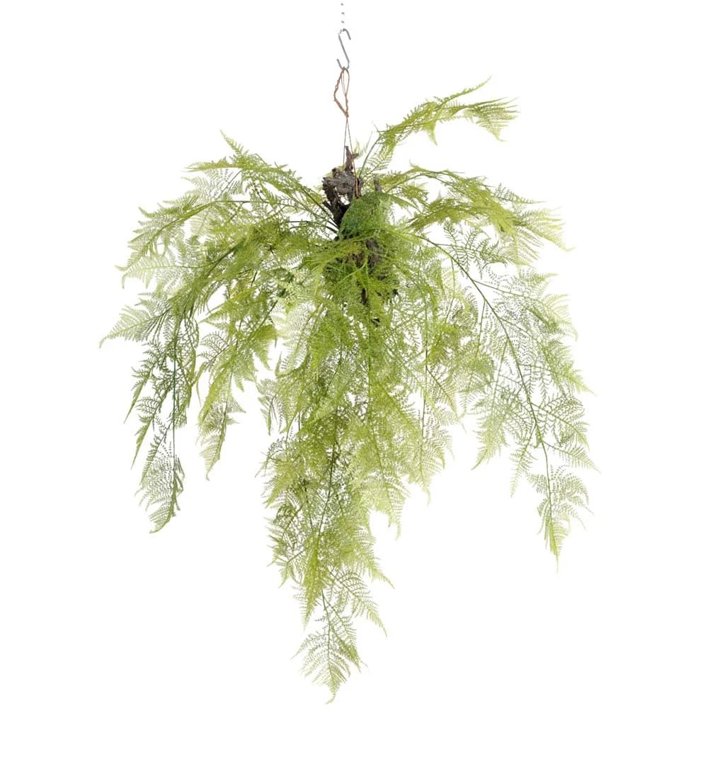 Mr Plant, Bregnegrønn 110 cm