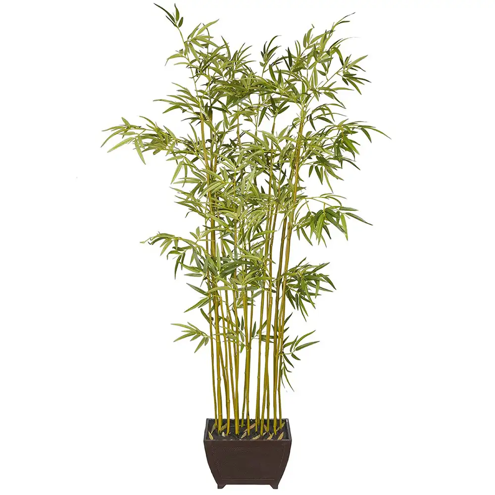 Mr Plant, Bambus 190 cm