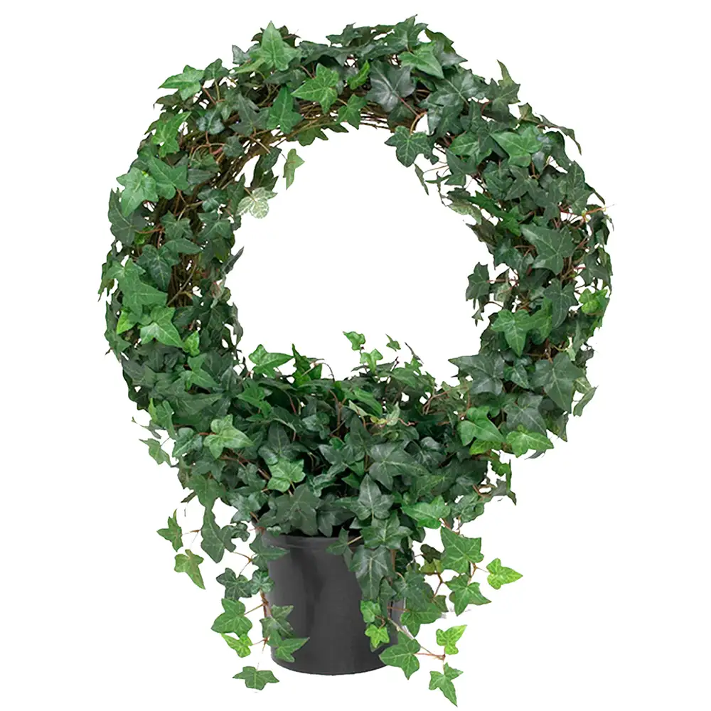 Mr Plant, Eføy 85 cm
