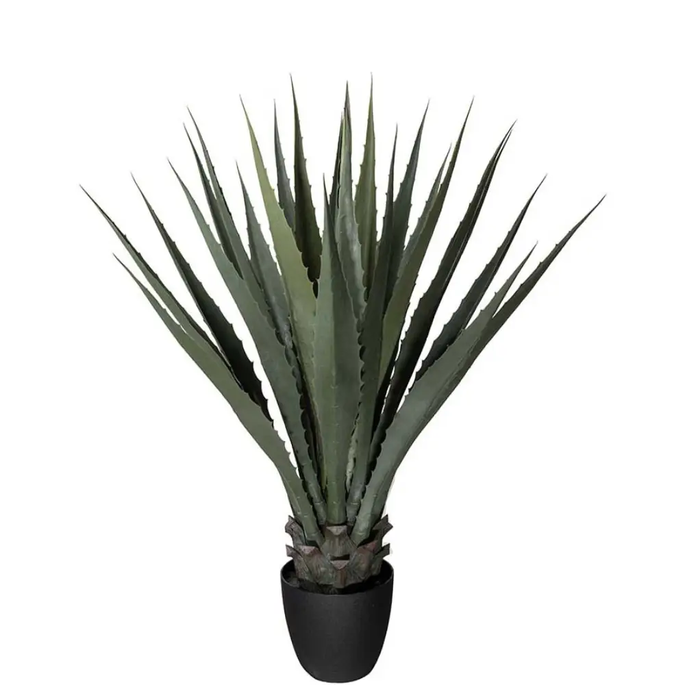 Mr Plant, Agave grønn 100 cm