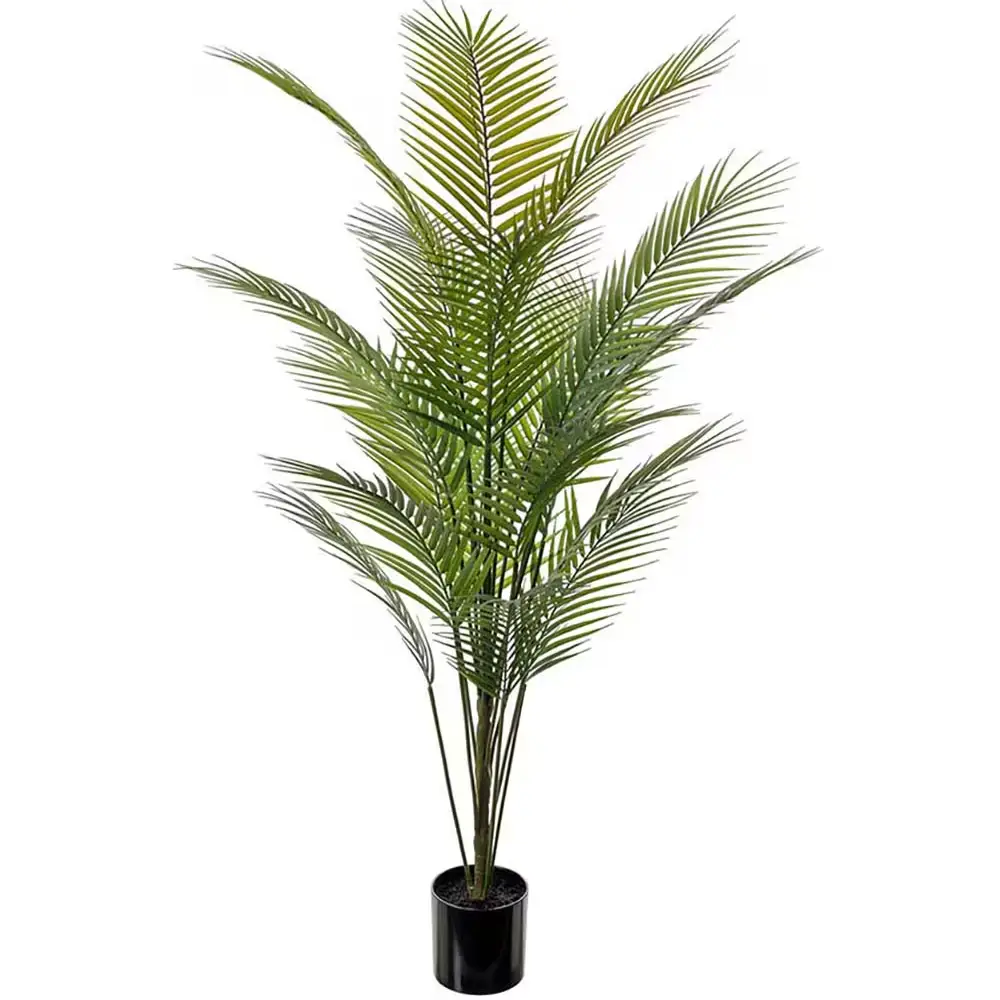 Mr Plant, Fjellpalme Grønn potteplante 140 cm