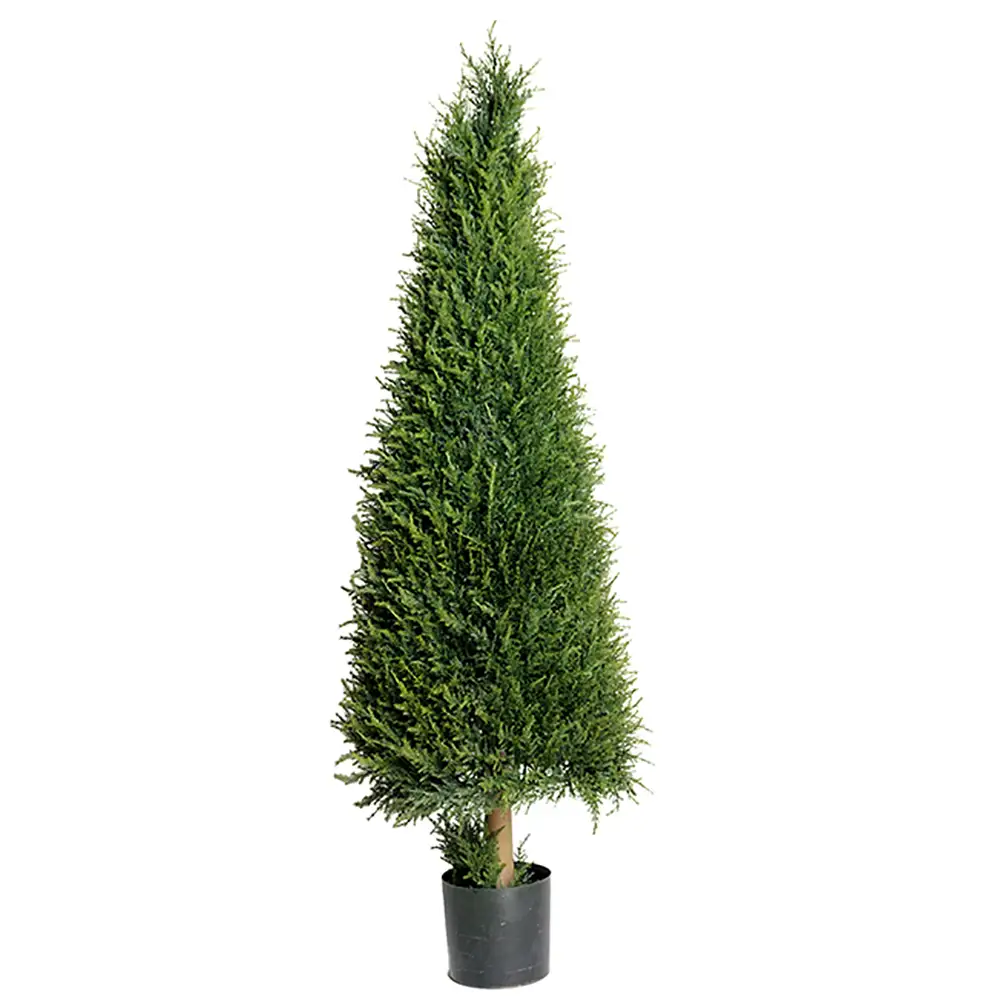 Mr Plant, Gran Tre 140 cm