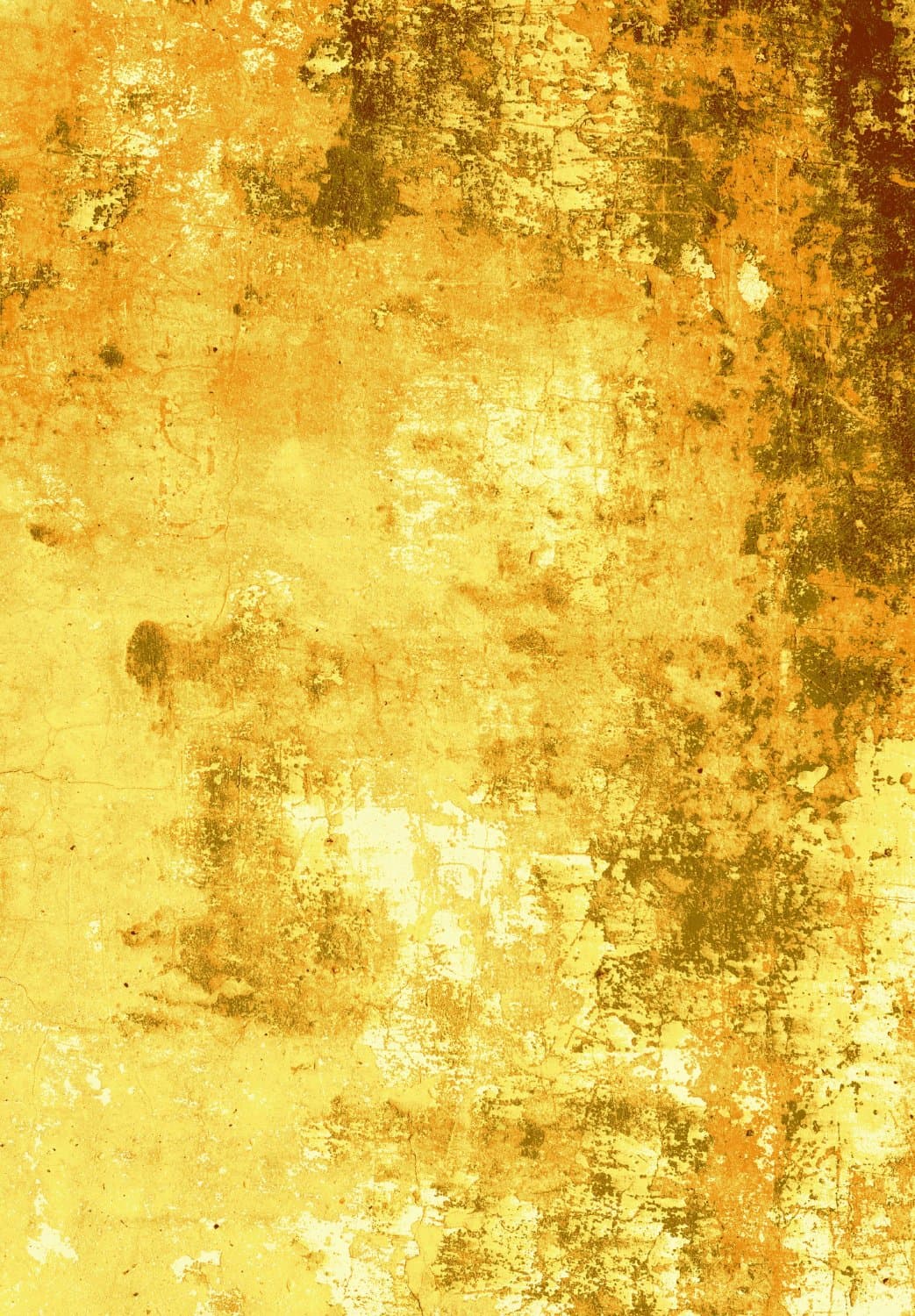 Wilton-teppe - Salitto (gull) (Størrelse: 160 x 230 cm)
